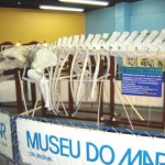 museu-do-mar